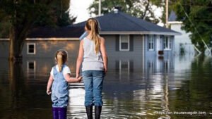 Flood Insurance 1 Flood Insurance, Flood Insurance Program