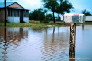 Careers in the Insurance Sector