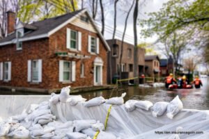 Flood Insurance Flood Insurance Program 18 Flood Insurance, Flood Insurance Program