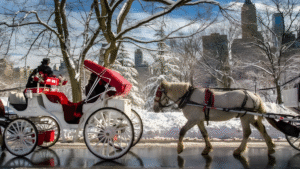 Council Blocks Central Park Horse-Carriage Ban