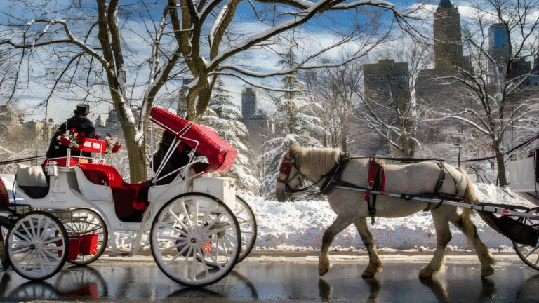 Council Blocks Central Park Horse-Carriage Ban
