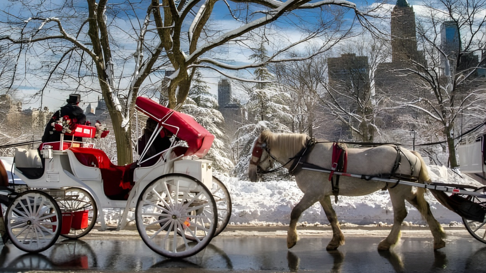 Council Blocks Central Park Horse-Carriage Ban
