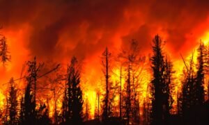 FM Boosts Policyholder Support with Expanded Resilience Credit FM Boosts Policyholder Support with Expanded Resilience Credit