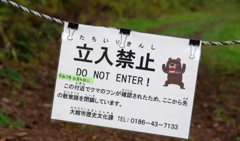 Hong Kong Insurers Warn of Japan Bear Attacks Hong Kong Insurers Warn of Japan Bear Attacks