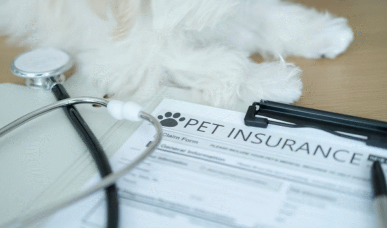 Untitled design 30 UK Pet Insurance Premiums Rise Modestly as Market Stabilises – Pearson Ham