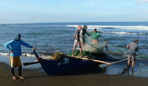 Willis and Rare Launch Innovative Insurance Solution for Small Scale Fishers in the Philippines Willis and Rare Launch Innovative Insurance Solution for Small-Scale Fishers in the Philippines