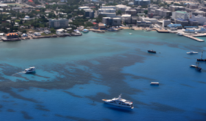 Cayman Insurance Risks Spark US Sector Alarm