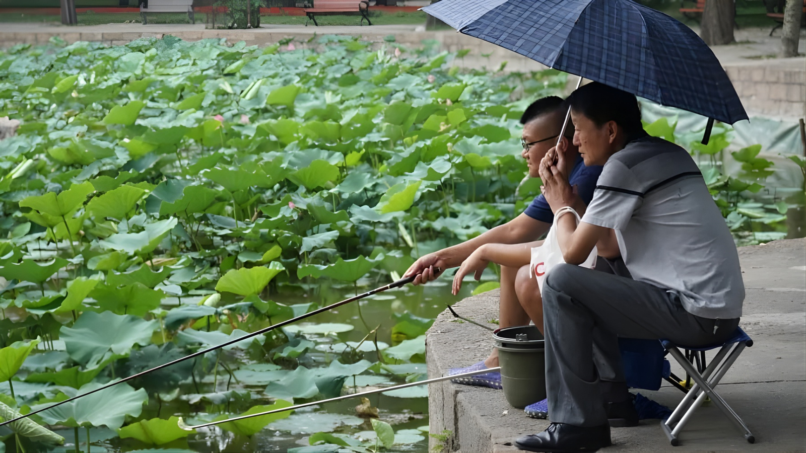 Chinese Insurers Expand Digital Solutions for Customised Coverage