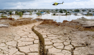 Urgent Appeal for Boosting Adaptation Investment