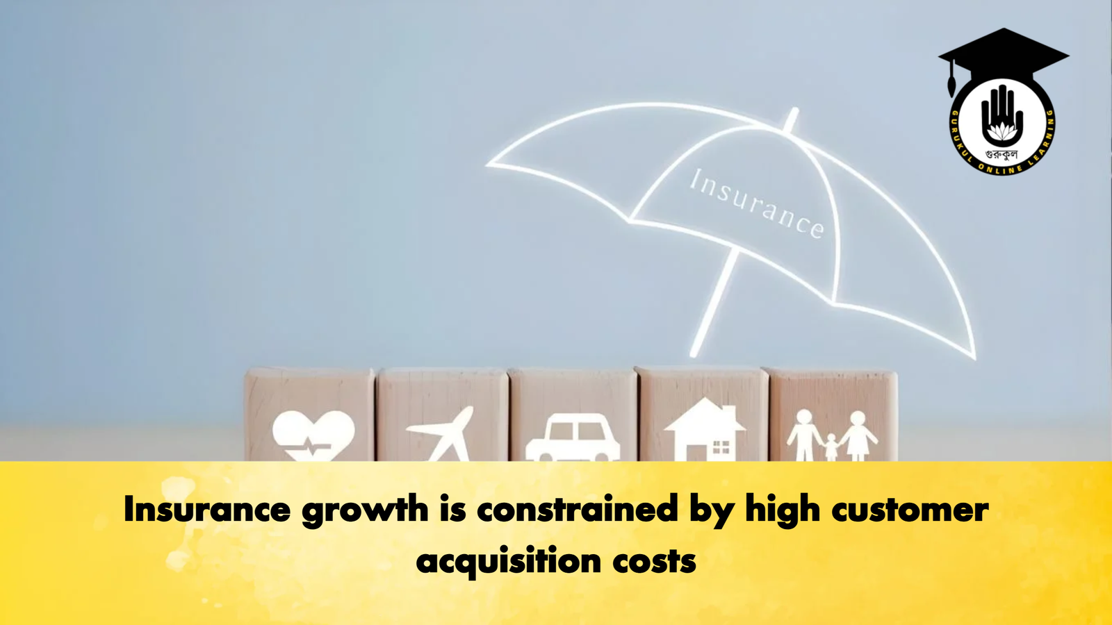 Insurance growth is constrained by high customer acquisition costs Insurance growth is constrained by high customer acquisition costs