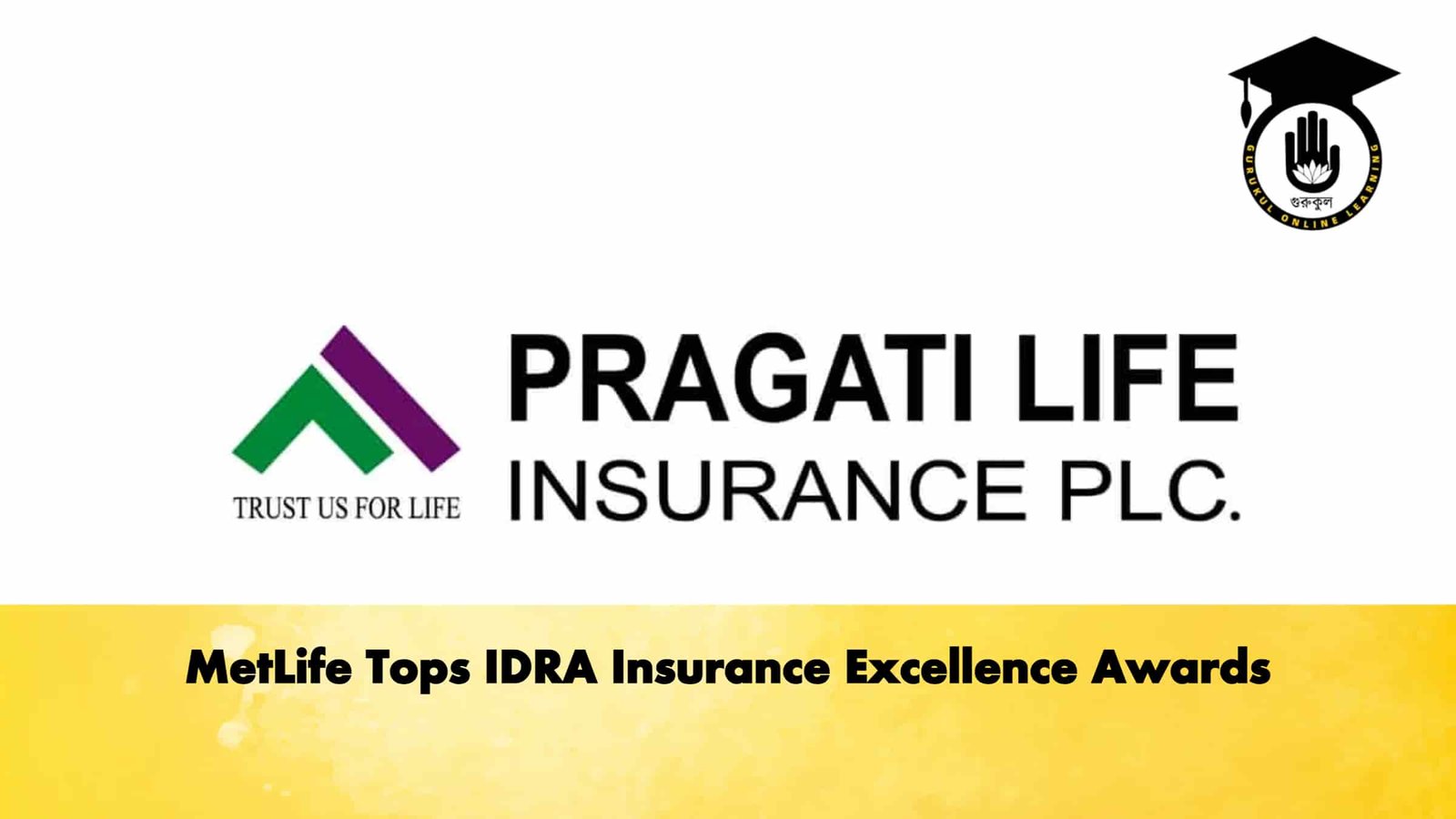 MetLife Tops IDRA Insurance Excellence Awards