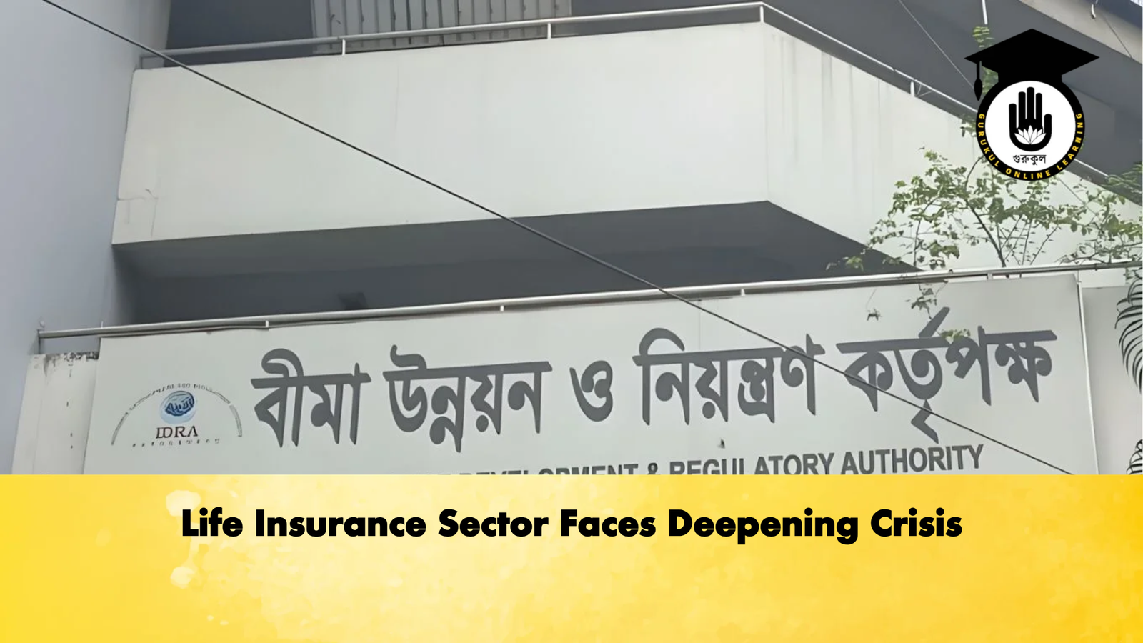 Life Insurance Sector Faces Deepening Crisis Life Insurance Sector Faces Deepening Crisis