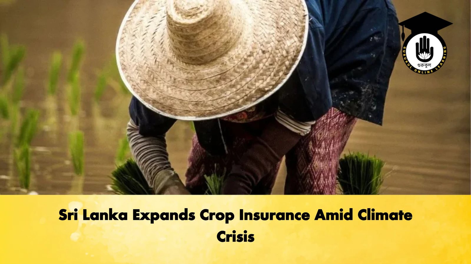 Sri Lanka Expands Crop Insurance Amid Climate Crisis Sri Lanka Expands Crop Insurance Amid Climate Crisis