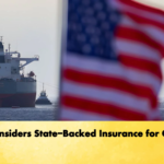 U.S. Considers State Backed Insurance for Gulf Oil U.S. Considers State-Backed Insurance for Gulf Oil