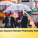Japan Insurers Remain Financially Robust Japan Insurers Remain Financially Robust